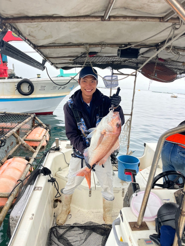 マダイの釣果