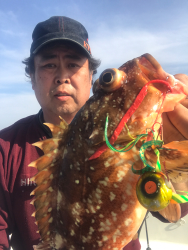 アマダイの釣果