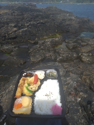 アカハタの釣果