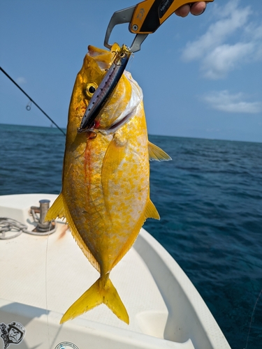 釣果