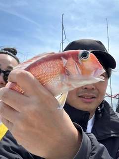 アマダイの釣果