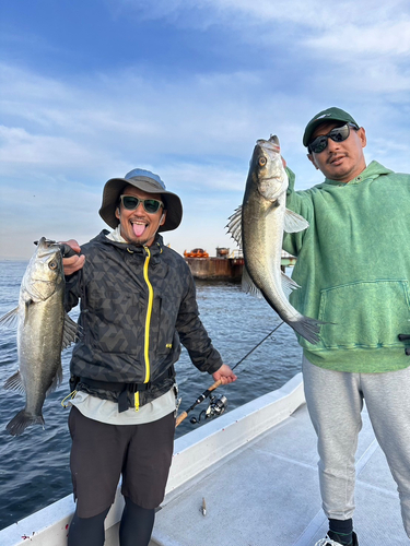 シーバスの釣果