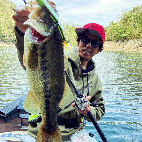 ブラックバスの釣果