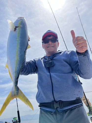 ハマチの釣果