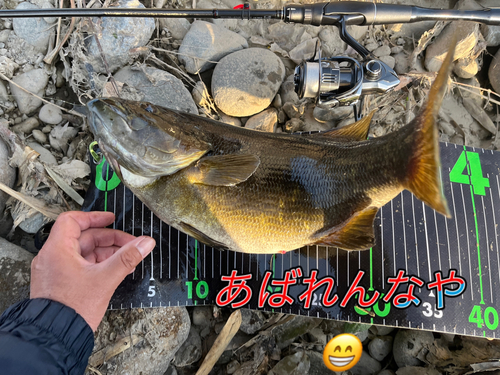 スモールマウスバスの釣果