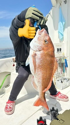 タイの釣果