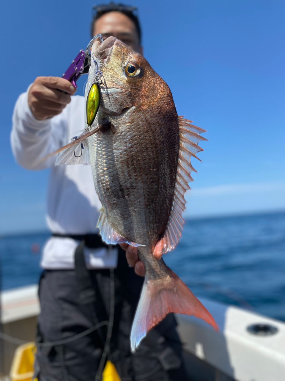 t.c.youheiさんの釣果 3枚目の画像