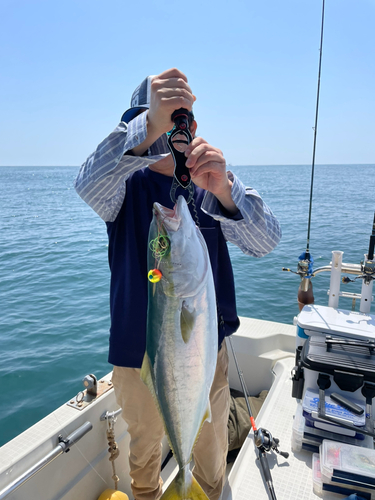 ワラサの釣果