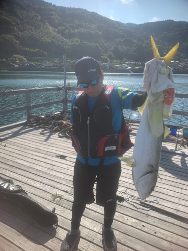 鹿児島湾北部