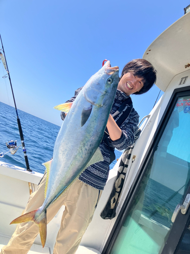 ヤズの釣果