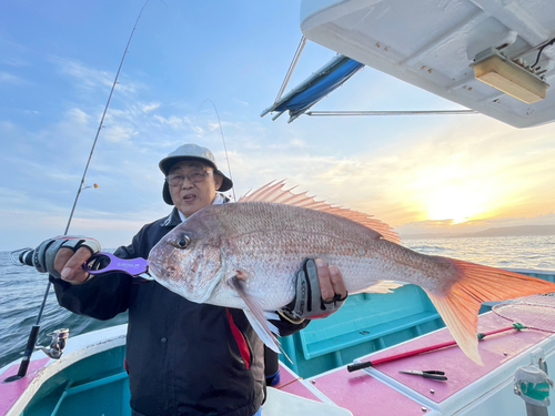 マダイの釣果