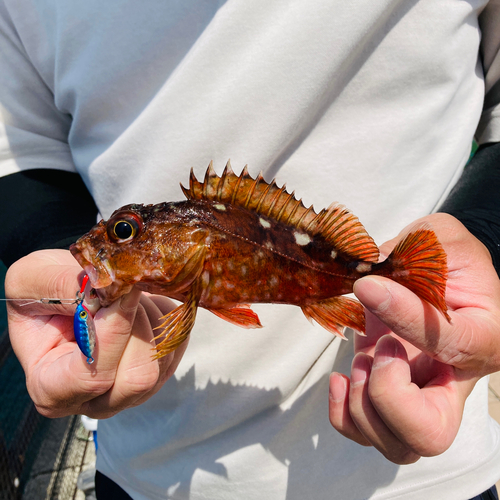 狩留家海浜公園