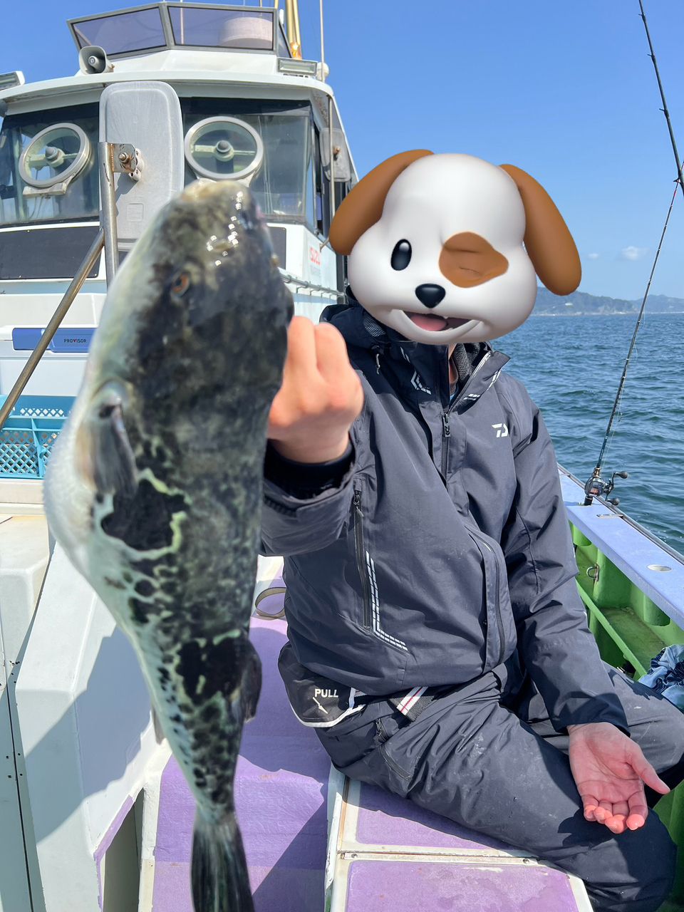 ごんたですさんの釣果 3枚目の画像