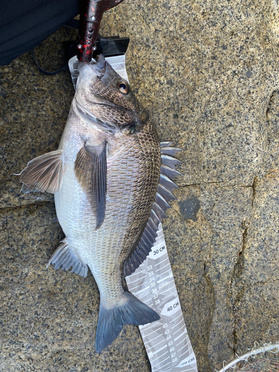 SHIMANO 20アドバンス イソ 1.5-500の最安値・インプレ・釣果 SHIMANO 20アドバンス イソ 1.5-500の最安値・インプレ・釣果