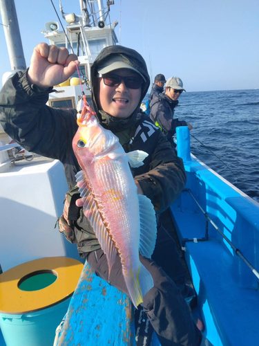 アマダイの釣果