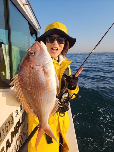 マダイの釣果