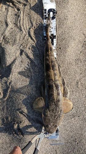 野積海岸