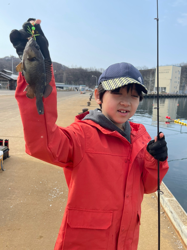 エゾメバルの釣果