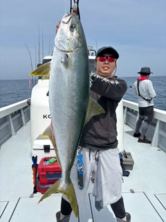 ヒラスの釣果