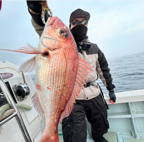 タイの釣果