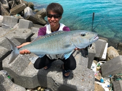 アオチビキの釣果