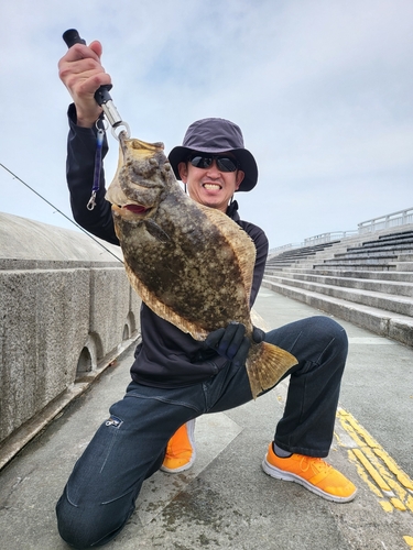 和歌浦湾