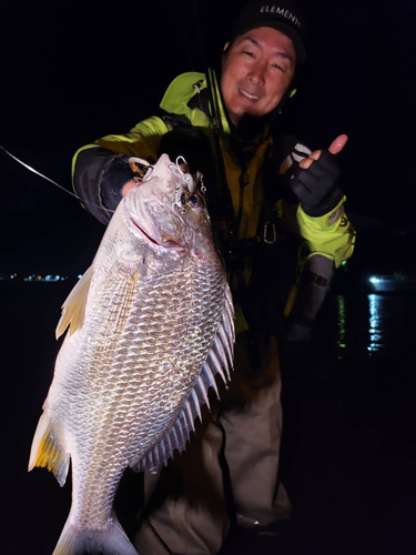 キビレの釣果