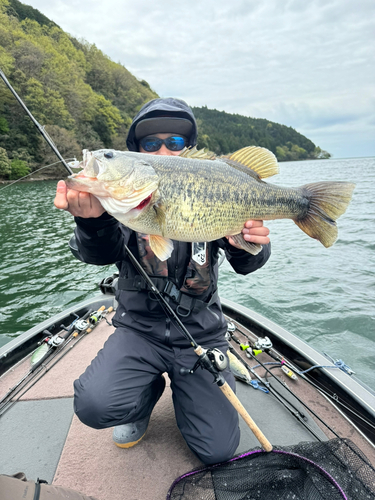 ブラックバスの釣果