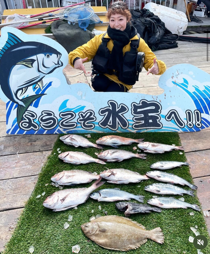 マダイの釣果