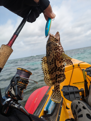 イシミーバイの釣果