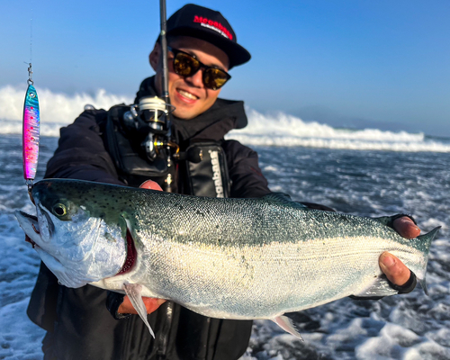 スチールヘッドの釣果