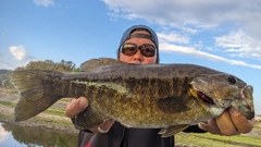 スモールマウスバスの釣果