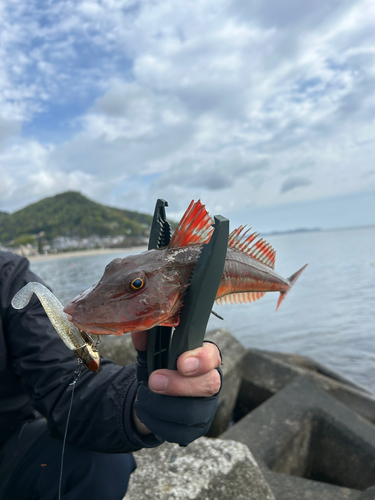 長浜海浜公園