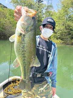 ブラックバスの釣果