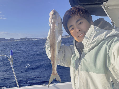 ワニエソの釣果