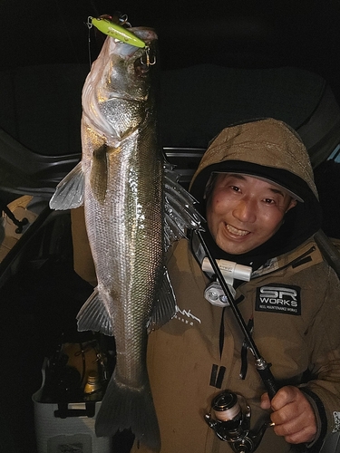 伊勢湾湾奥