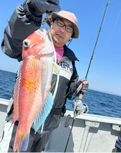 アマダイの釣果