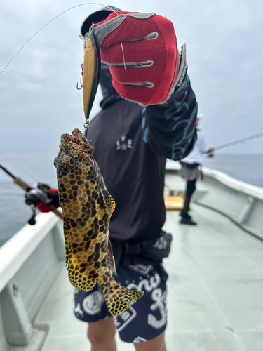 イシミーバイの釣果