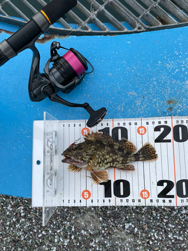 あかぐり海釣公園