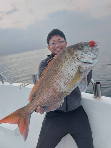 タイの釣果