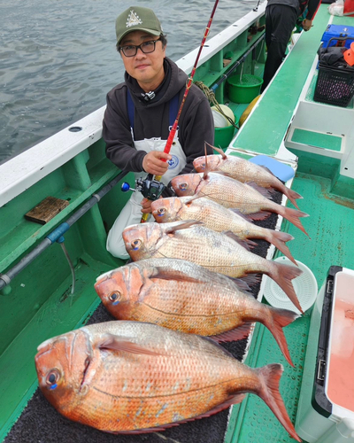 小木港で釣れたタイの釣り・釣果情報 - アングラーズ