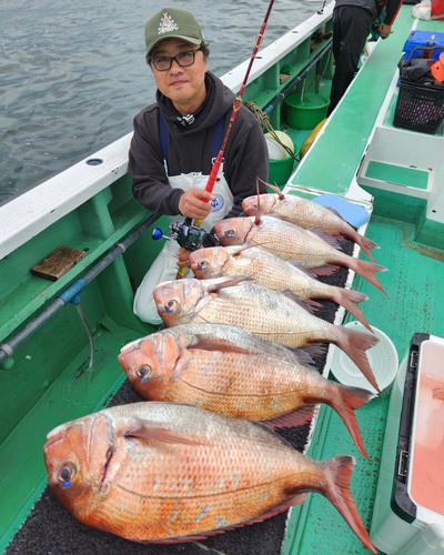 マダイの釣果