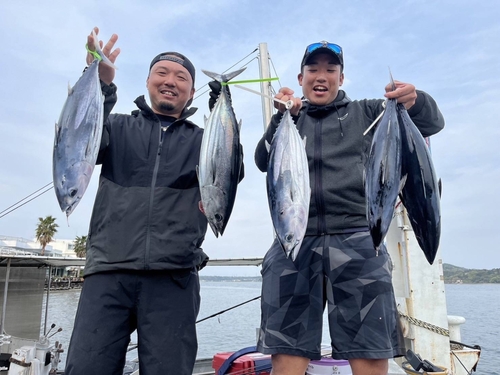 カツオの釣果