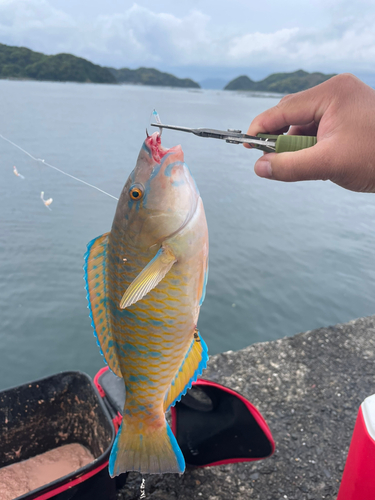 野見潮ばかり公園