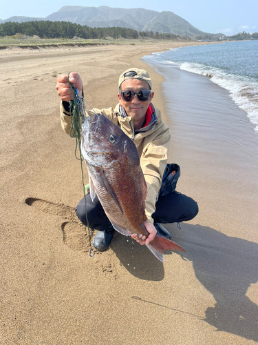 タイの釣果