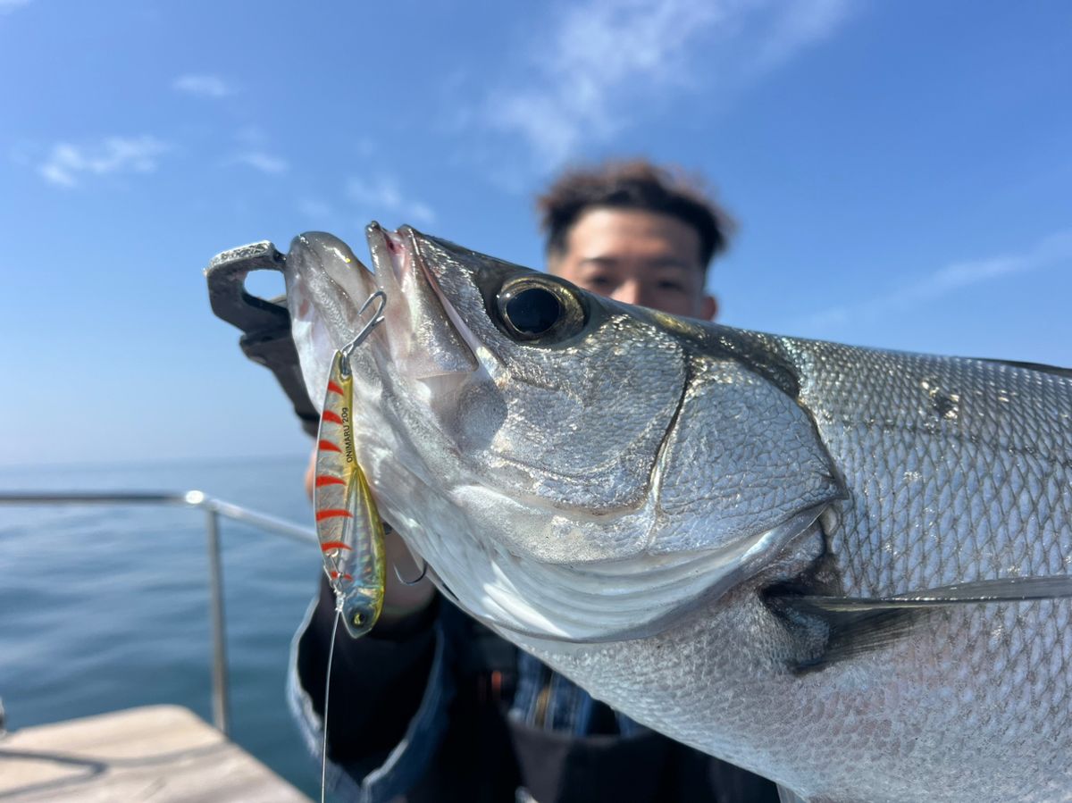 アングラーニキ(3年生)さんの釣果 2枚目の画像