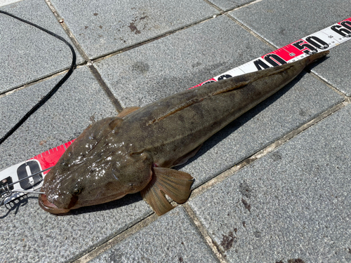 和歌山マリーナシティ海釣り公園・海洋釣り堀