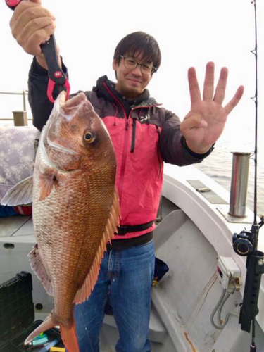 マダイの釣果