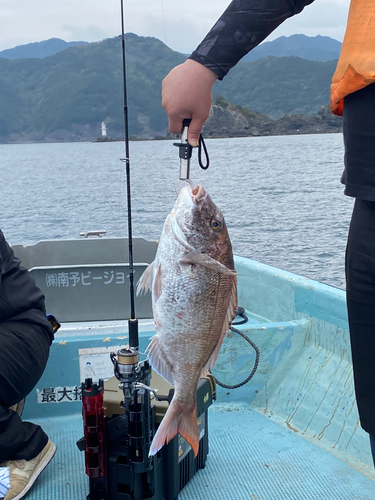 タイの釣果