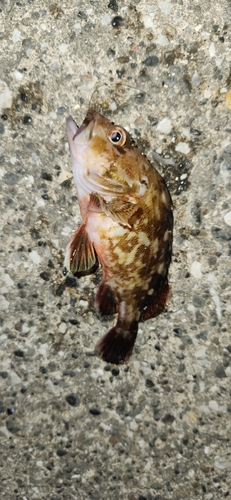 うみかぜ公園付近